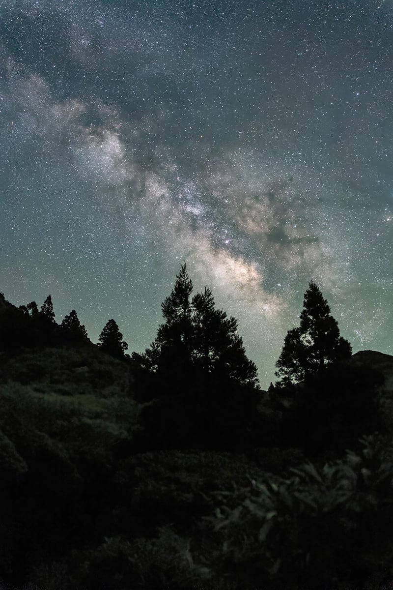 Starry Night Wedding